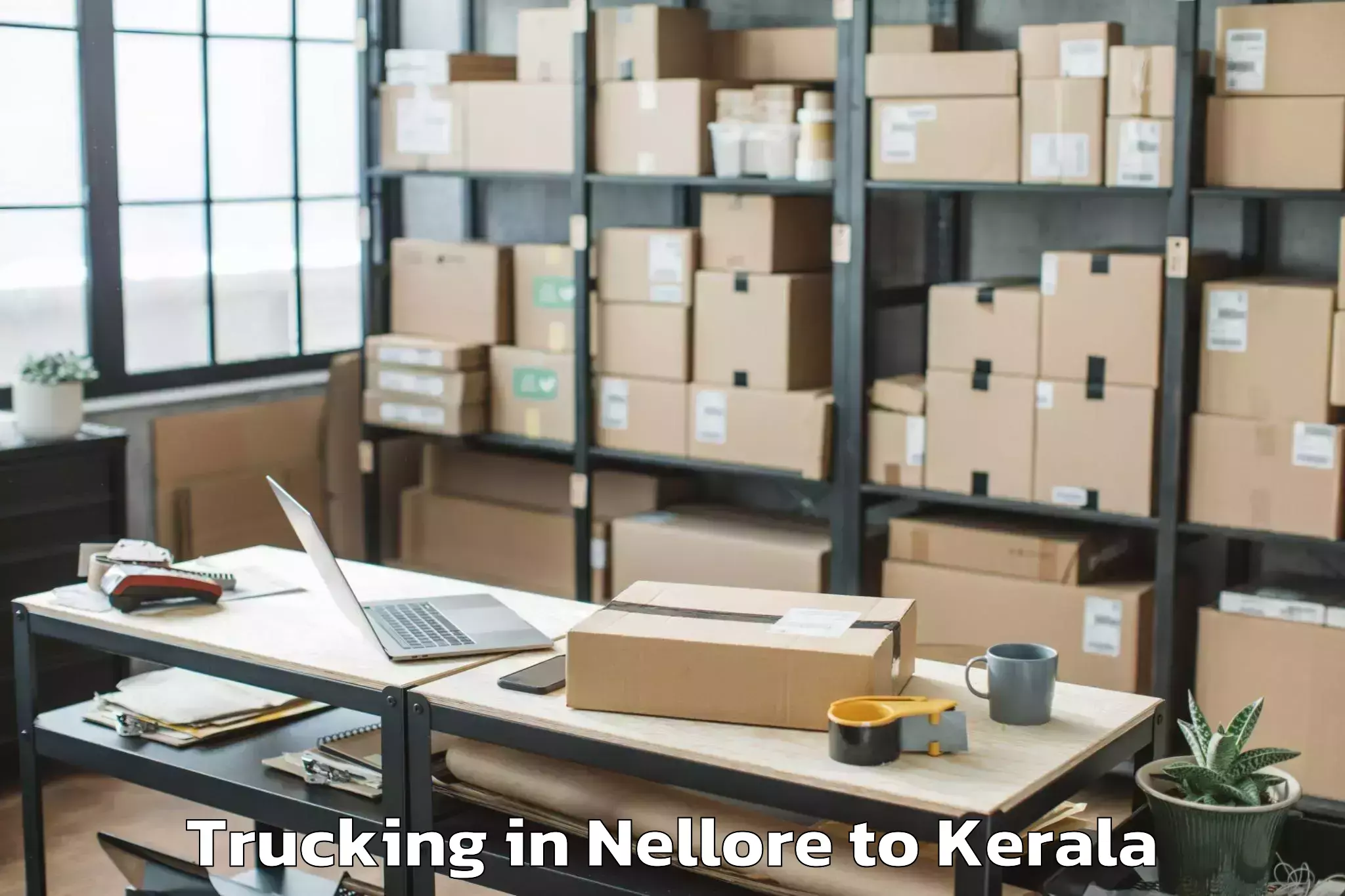 Book Nellore to Selex Mall Thrissur Trucking